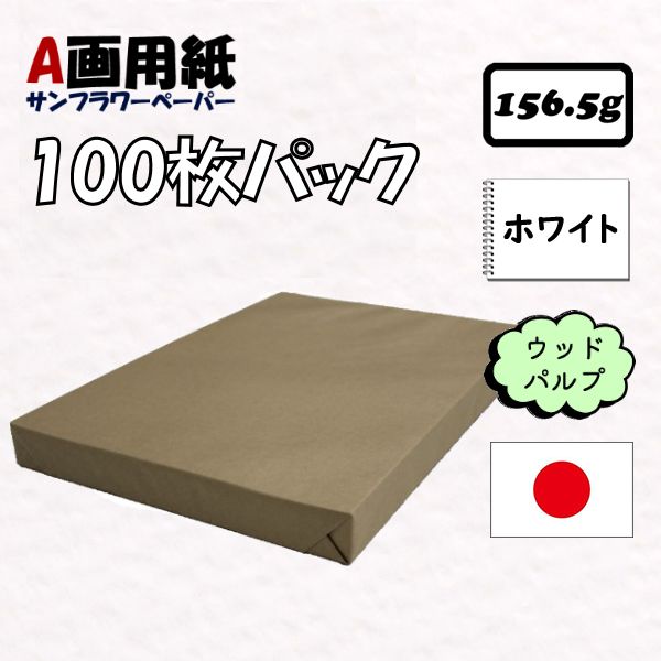 A画用紙断裁品 100枚パック