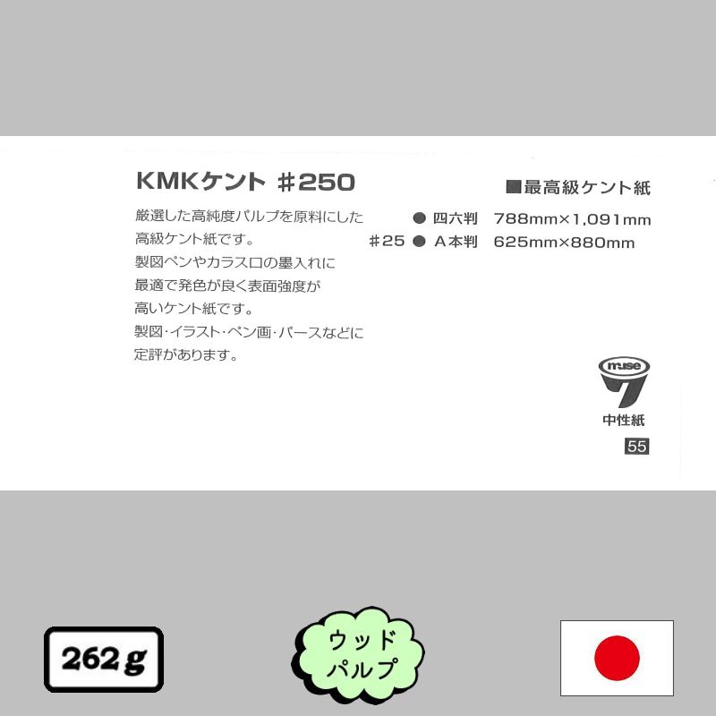 KMKケント紙 #250 <262g>