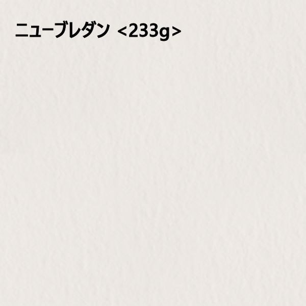 ニューブレダン <233g>【メーカー欠品中】