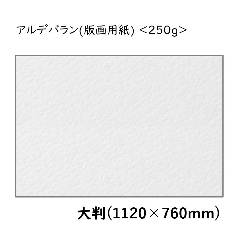 アルデバラン(版画用紙) <250g> 大判 1120×760[mm]