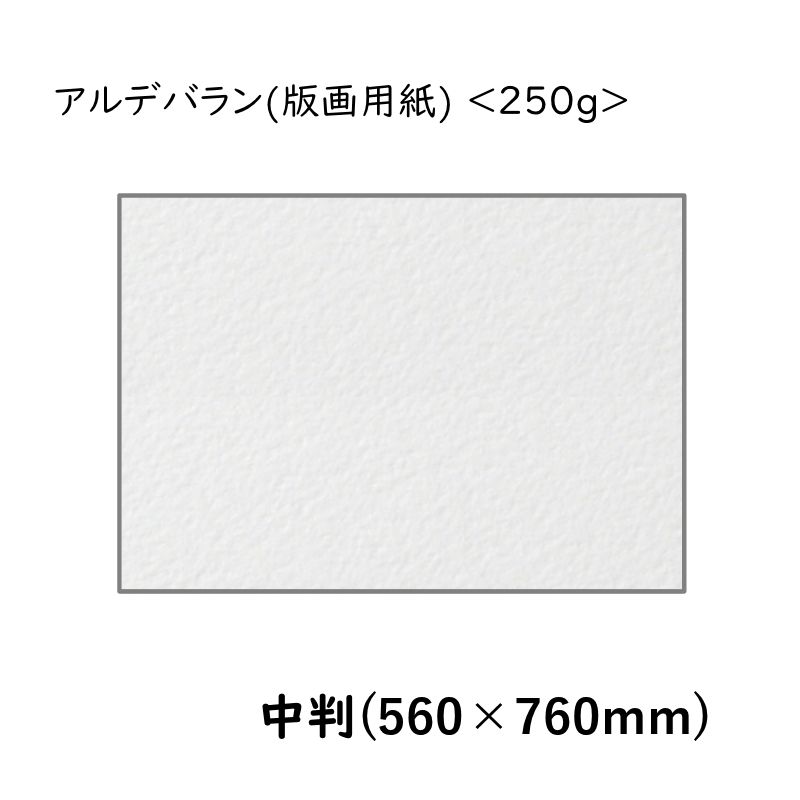 アルデバラン(版画用紙) <250g> 中判 560×760[mm]