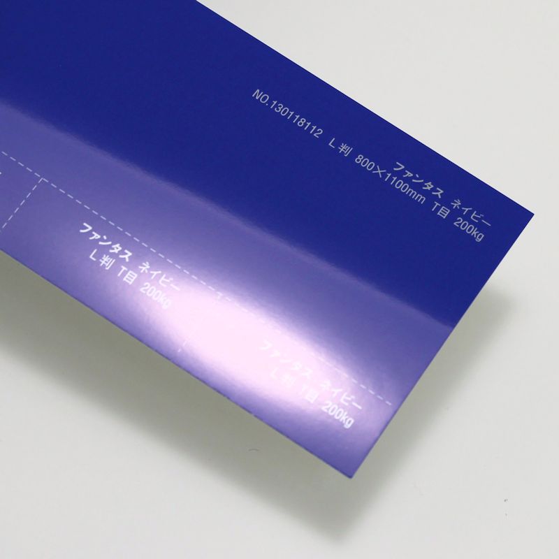 【取寄】ファンタス<200kg> ネイビー