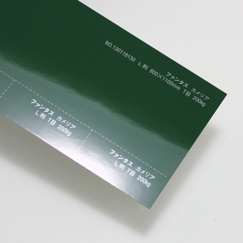 【取寄】ファンタス<200kg> カメリア