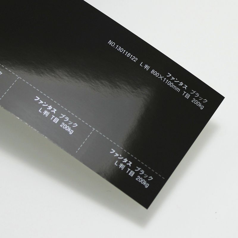 【取寄】ファンタス<200kg> ブラック