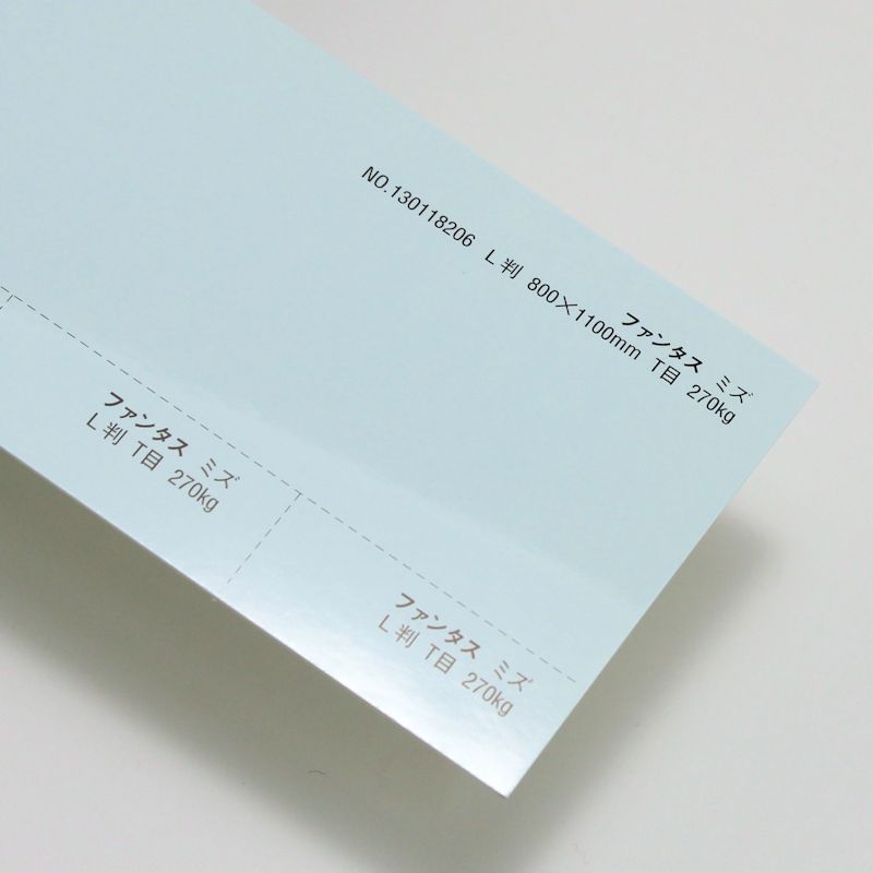 【取寄】ファンタス<270kg> ミズ