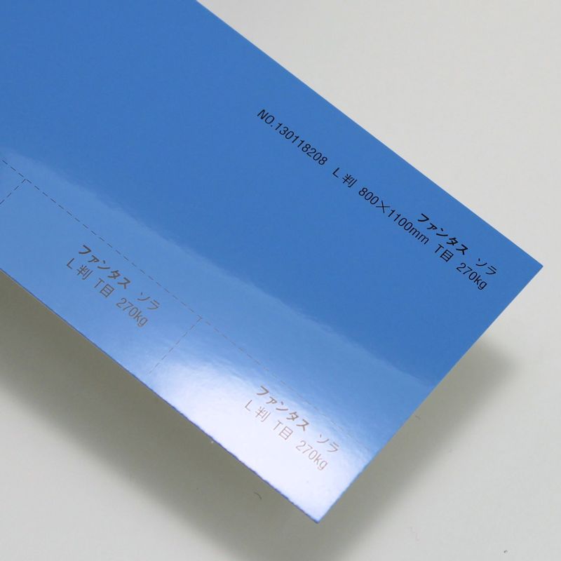 【取寄】ファンタス<270kg> ソラ