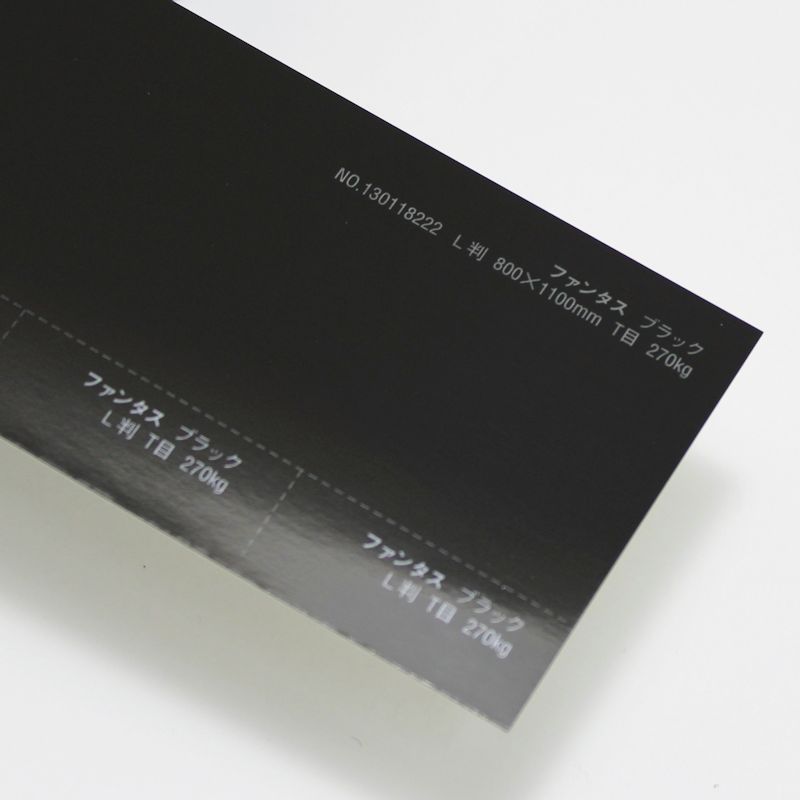 【取寄】ファンタス<270kg> ブラック