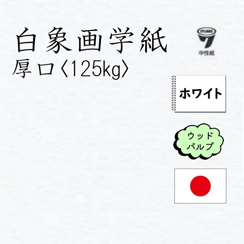 白象画学紙 125kg厚口