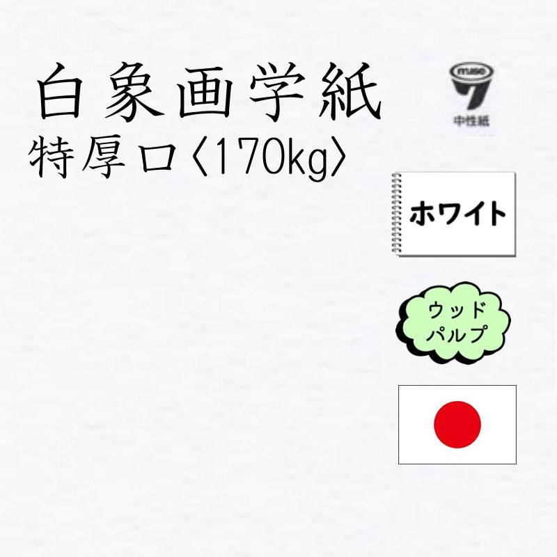 白象画学紙 特厚口 170kg <204.8g>