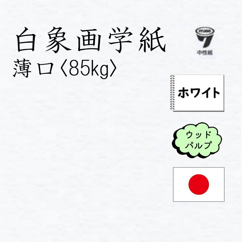 白象画学紙 薄口 85kg