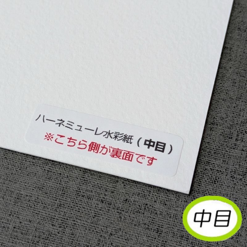 ハーネミューレ水彩紙<300g> 【中目】おためしサンプル