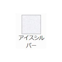 キュリアスメタルN <120g>(88.1kg) アイスシルバー