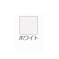 キュリアスメタルN <120g>(88.1kg) ホワイト