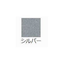 キュリアスメタルN <120g>(88.1kg) シルバー