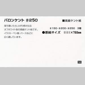 ミューズバロンケント #250 <225g>