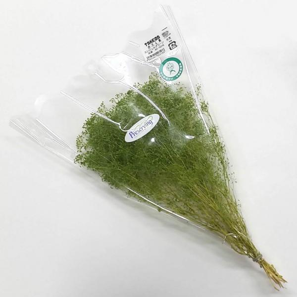 かすみ草 大束 エンジェルグリーン