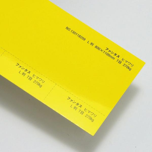 【取寄】ファンタス<270kg> ヒマワリ