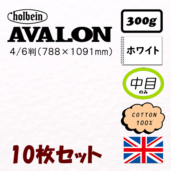アヴァロン水彩紙<300g>四六判(788×1091mm)【10枚入】