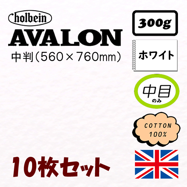 アヴァロン水彩紙<300g>中判(560×760mm)【10枚入】