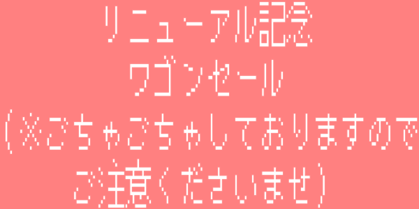リニューアル記念ワゴンセール